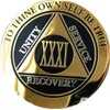 31 Year AA Medallion Elegant Black Gold and Silver Sobriety