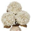 Large Artificial Hydrangea Flowers Real Touch, 25.5" Fall Hydrangeas for