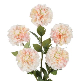IPOPU Pink Dahlia Artificial Flowers 5 Pcs Long Stem Silk Dahlia Flowers 27” for Bathroom Tall Vase Wedding Anniversary Centerpiece Aisle Outdoor Decor(Champagne&Pink)