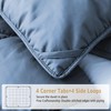 DREAMHOUR Pinch Pleat Goose Down Comforter King Size 106x 90，All