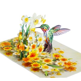 Birthday Card Pop Up | 3D Mothers Day Anniversary Valentines Day Cards for Women Mom Mum Grandma (Size 15x20 cm - Hummingbird Daffodils Big)