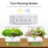 Ahopegarden Indoor Garden Hydroponics Growing System: 10 Pods Plant Germination