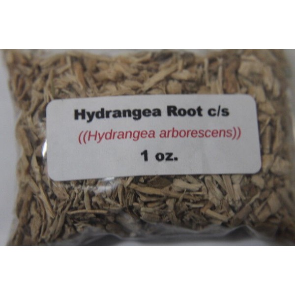 Hydrangea Root 1 oz. Hydrangea Root c/s (Hydrangea arborescens)