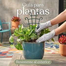Ukipos Set de 4 Mini Enrejados para Plantas Trepadoras en Maceta, Enrejado Apilable de Plástico Tutores Resistentes para Interior y Exterior, Soporte para Guías de Plantas y Enredaderas