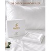 SilkSilky 100% Pure Organic Mulberry Silk Pillowcase for Hair &
