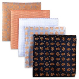 SHLAX&WING 5 Pieces Assorted Mens Silk Pocket Square Handkerchiefs Set Lot 71