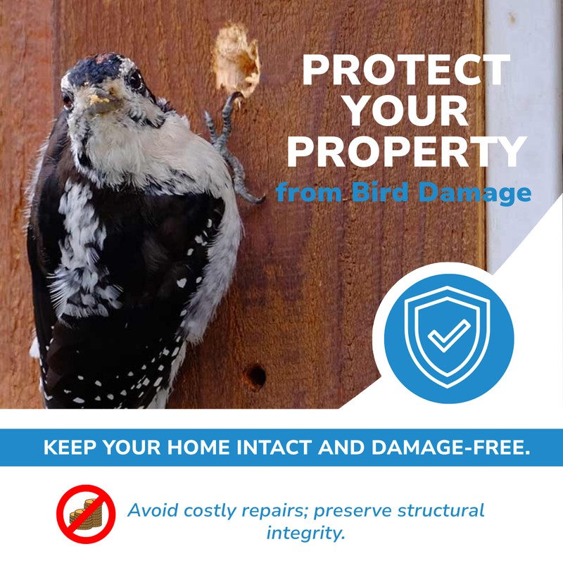 Bird Barrier The Intimidator - Professional Grade Bird Deterrent w/Wind-Twisting