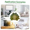 Gatuida Frog Shaped Ceramic Flowerpot Cute Desktop Planter for Succulents