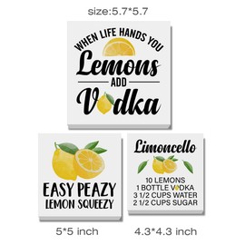 Summer Lemons Decor for Home Farmhouse Lemon Themed Tiered Tray Decor 3 Pcs Lemon Decorative Wood Box Signs Table Desk Shelf Kitchen Decoration