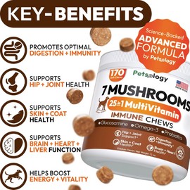 Turkey Tail Mushroom for Dogs - 170 Chews - Lion’s Mane - Shiitake - Reishi - Buddy Immune Support Guard - Mushroom Supplement for Dogs Lumps and Bumps Glucosamine, Health Vitamins Multivitamin