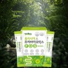 PrebioticsFOS Lactobacillus Food Fructooligosaccharide Powder Prebiotic Effect Inulin Chicory /