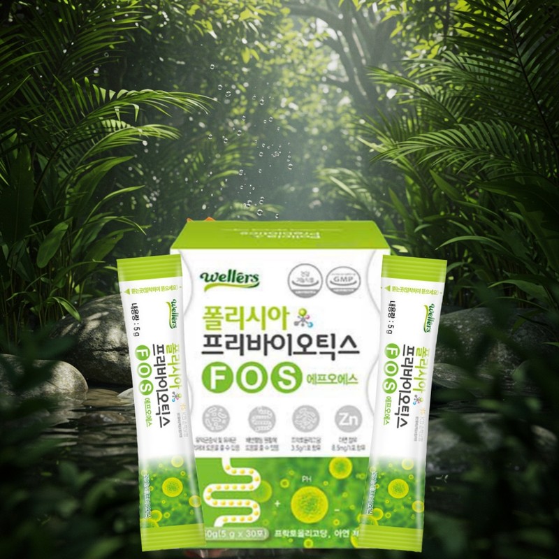 PrebioticsFOS Lactobacillus Food Fructooligosaccharide Powder Prebiotic Effect Inulin Chicory /