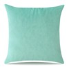 Artscope Velvet Cushion Cover Decorative Cushion Sofa Cushion Lumbar Cushion