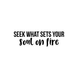 Vinyl Wall Art Decal - Seek What Sets Your Soul On Fire - 7.5" x 25" - Modern Inspirational Positive Quote Sticker for Home Office Work Bedroom Living Room Decor