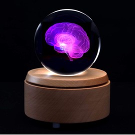 3D Human Brain Anatomical Model Paperweight(Laser Etched) in Crystal Glass Ball Science Gift (Included LED Base)