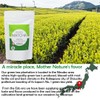 Otsuka Green Tea Co - Ceremonial Matcha Powder - Made