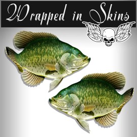 Unbranded Crappie Decals Fish Stickers Tackle Box RV Truck Camper Trailer AFP-0013 - 5" Long