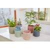 Bloomingville Ceramic Flower Pot Dot - colorful Planter, Pot for