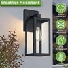 GRUENLICH Waterproof Large Outdoor Wall Lanterns, Modern Black Porch Sconces