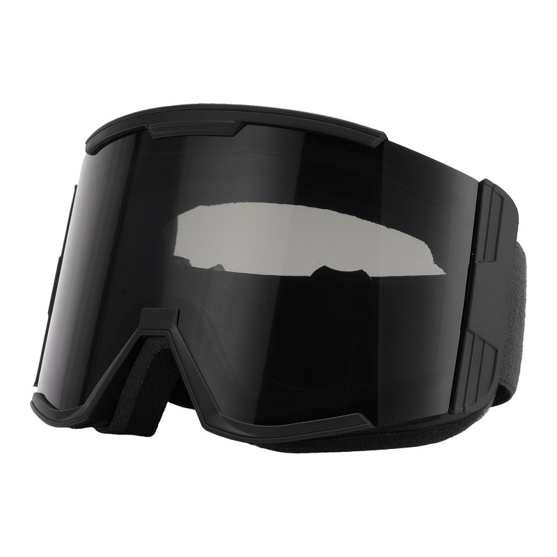 Adult Ski Goggles Double Layer Anti Fog Large Field Cylindrical