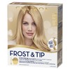 Clairol Frost & Tip Max Blonde Highlight
