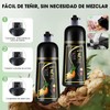 SINYI Champú Instant Hair Color para Cabello 500ml，Champú para Teñir