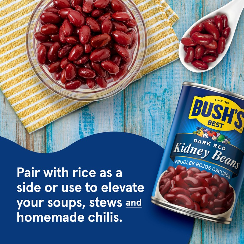 BUSH'S BEST 16 oz Canned Dark Red Kidney Beans, Source