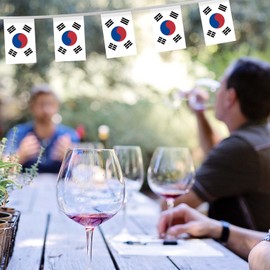 32FT Small South Korea Pennant Flag Bunting,30 PCS Mini String Banner Stripes South Korean Decor Rectangle for Holiday Restaurant Home Party School