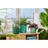 elho The Ocean Collection Round 22cm - Flower Pot Indoor