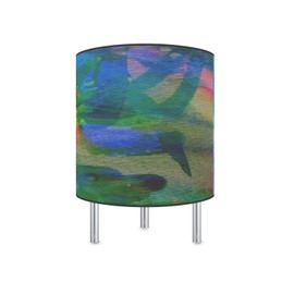 LED Desk Lamp Skybird Canvas Printed Table Light Comes with 16 Color Rechargeable Light Bulb with 5 Level Dimmer and Remote Control and Chrome Standoffs. Made in The USA