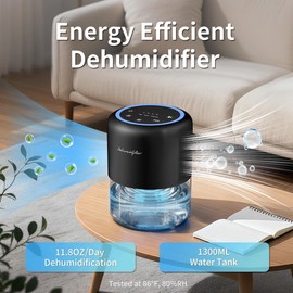 Windangel 44oz(1.3L) Small Dehumidifier for Home, Auto-Off Quiet Portable Dehumidifier with 3 Modes, 10 Color Lights, 4 Timer Settings for Bedroom Bathroom Closet, Black(215 sq.ft)
