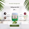 Benne Naturals Shampoo Bergamota P/ Crecimiento Capilar Halopecia 4 Mayoreo