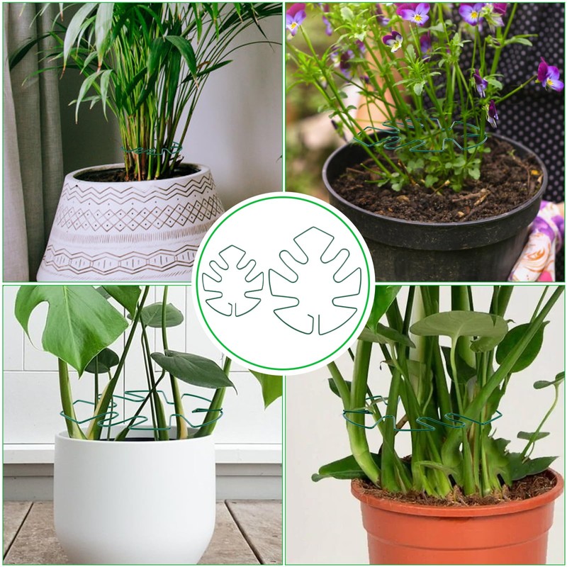 Hysagtek 6PCS Monstera Plant Support, Plant Stem Support Durable Monstera
