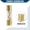 Hihaha Fuse 100A Gold Tone Plated AGU Fuses for Car