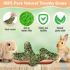 Hamiledyi 4PCS Bunny Chew Grass Balls Rabbit Chew Toys Rolling