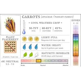 Dirt Goddess Super Seeds~ Scarlet Nantes Carrot Non GMO (1 Lb)