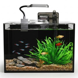 2.5 Gallon Nano Aquarium Kit, Glass Small Fish Tank Starter Kit with Light, Filter, Gravel Rock,Lid. Ultra Clear Rimless Desktop Fish Tank for Small Fish,Betta,Shrimp.Complete Version, Black