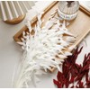 Dried River Oats, Dried Chasmanthium latifolium, Northern Sea Oats，for Wedding,