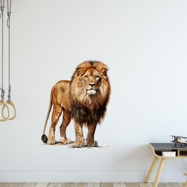GRAZDesign Wall Sticker Lion Safari Animals Wall Sticker Wild Animals Wall Sticker for Living Room Bedroom Children's Room 50 x 40 cm