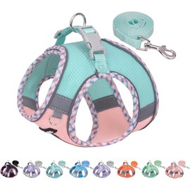 AIITLE Dog Harness, No Choke - Adjustable Dog Harness with Breathable Mesh and Quick Release Buckle - Outdoor Walks Training for Medium Dogs, Turquoise-Pink, L