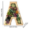 QUINTRA Decorative Wall Wooden Letters with Artificial Succulents Bryophytes Vertical