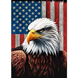 hill froeistung Eagle Diamond Painting Kits for Adults,Flag Diamond Art for Beginners, 5D DIY Full Drill Round Gem Art Craft Home Wall Decor Gift 12x16 inch,Bird