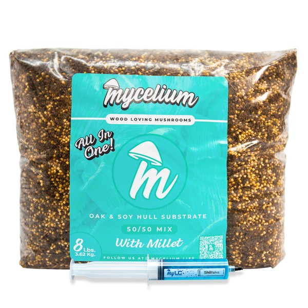 Mycelium's Shiitake Gourmet Mushroom Kit | 8LBS Oak and Soy