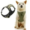 Gooby Trailblazer Harness - Olive Branch, X-Small - Shock Absorbing