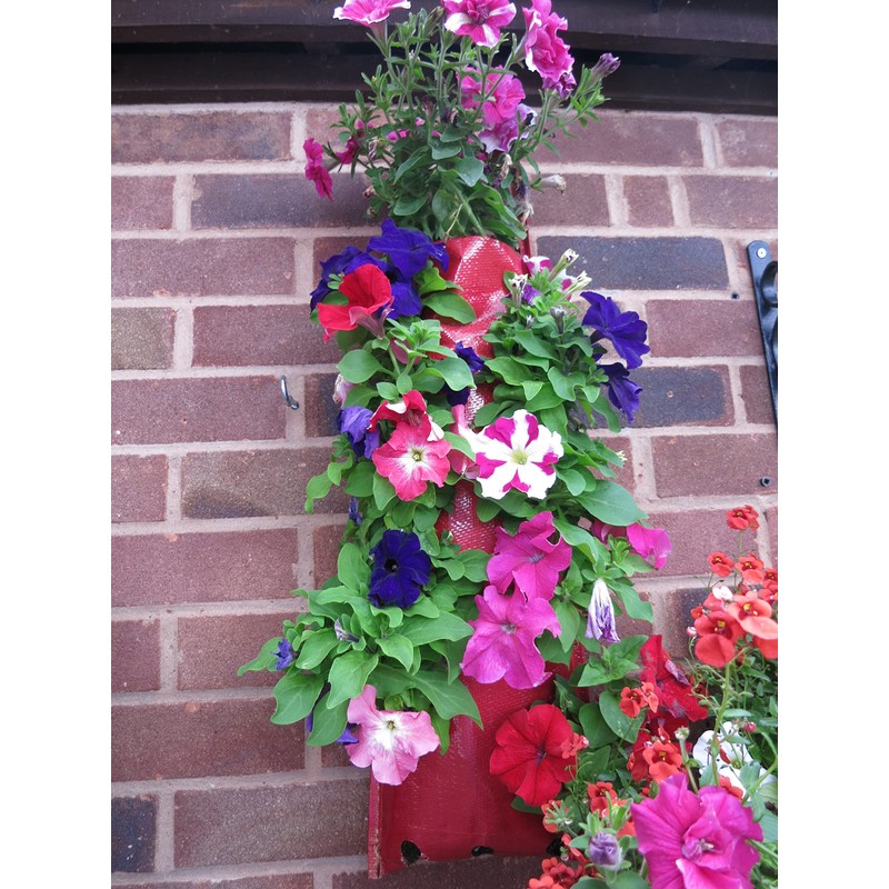Bowry's Red Hanging Strawberry Flower Bag Planters - Pack of