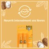 Le Petit Marseillais Bálsamo Labial Lip Balm Shea Butter, 2