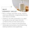 The Youth Elixer - Aphrodite Olive Oil & Donkey Milk