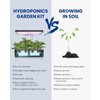 iDOO Hydroponics Growing System Kit 12Pods, Indoor Herb Garden System,