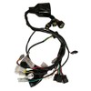 Goodfind68 New Wiring Harness Assembly Compatible with Sur-Ron X Light