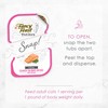 Purina Fancy Feast Petites Seared Salmon Entree With Spinach in